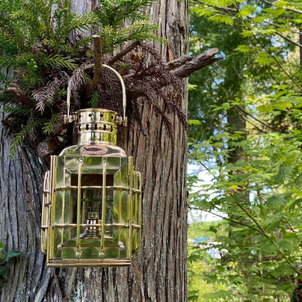 ���J���[�o���G�[�V����