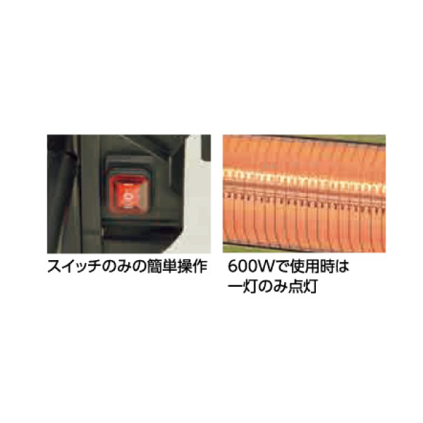 自然大好き！ニッチ・リッチ・キャッチ ワキタ WAKITALONCIN ワキタ