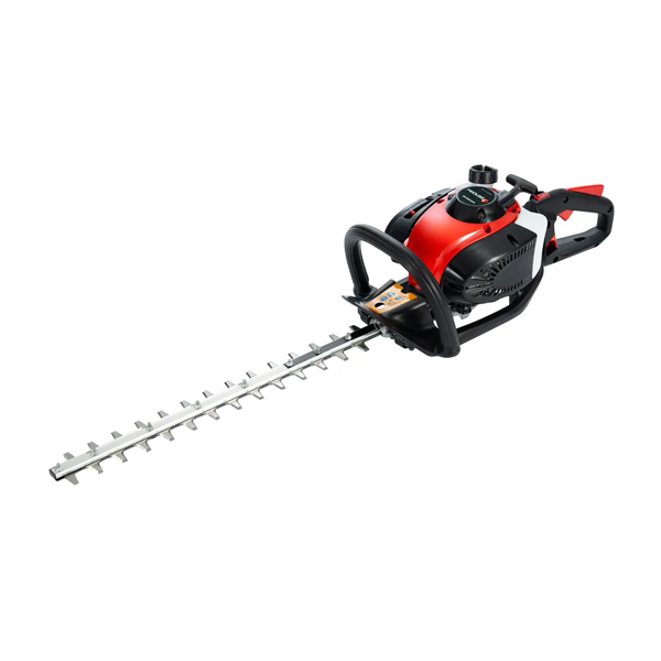 ���J���[�o���G�[�V����