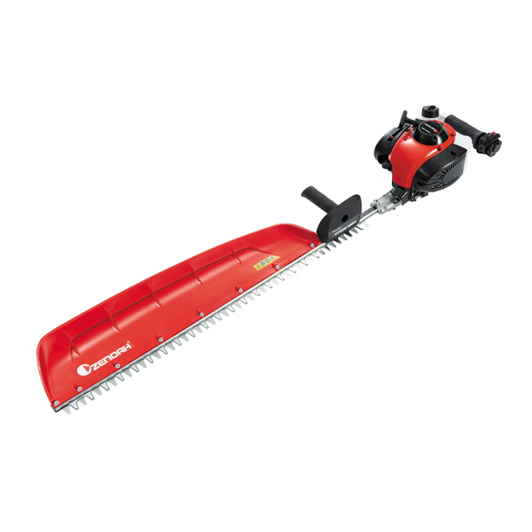 ���J���[�o���G�[�V����