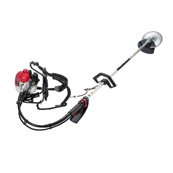 ���J���[�o���G�[�V����